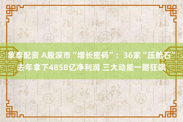 象泰配资 A股深市“增长密码”：36家“压舱石”去年拿下4858亿净利润 三大动能一路狂飙