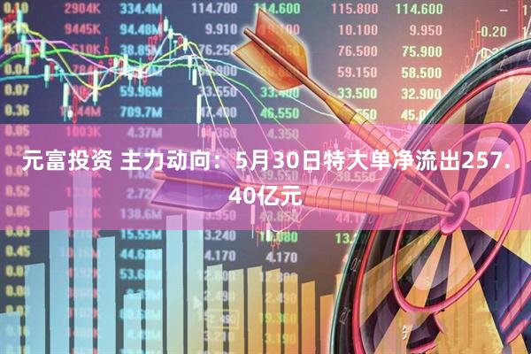 元富投资 主力动向：5月30日特大单净流出257.40亿元
