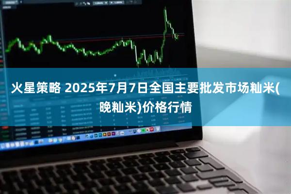 火星策略 2025年7月7日全国主要批发市场籼米(晚籼米)价格行情